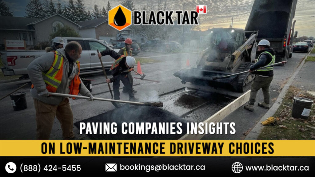 Paving Companies Insights on Low-Maintenance Driveway Choices.